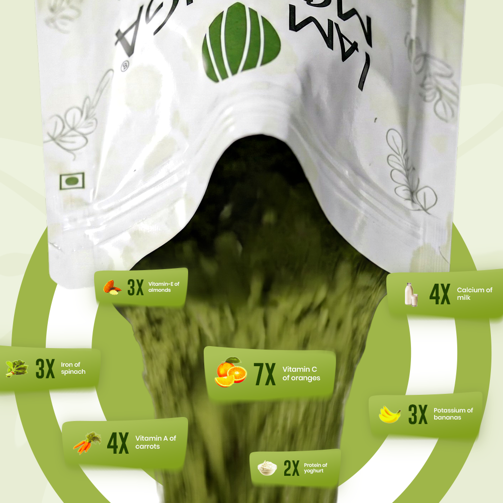 Moringa Leaf Powder 1 Kg