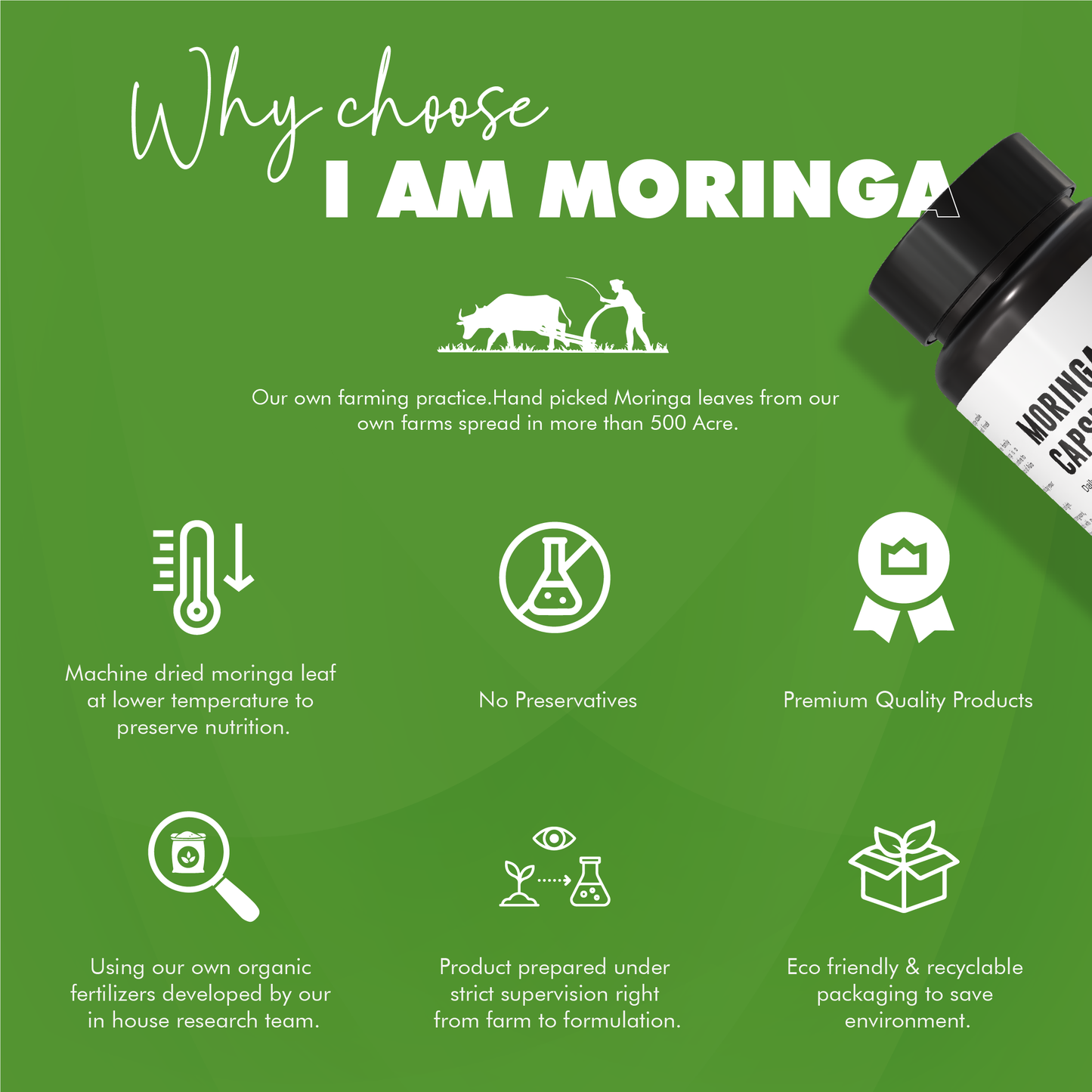 Moringa Capsules 60 Nos