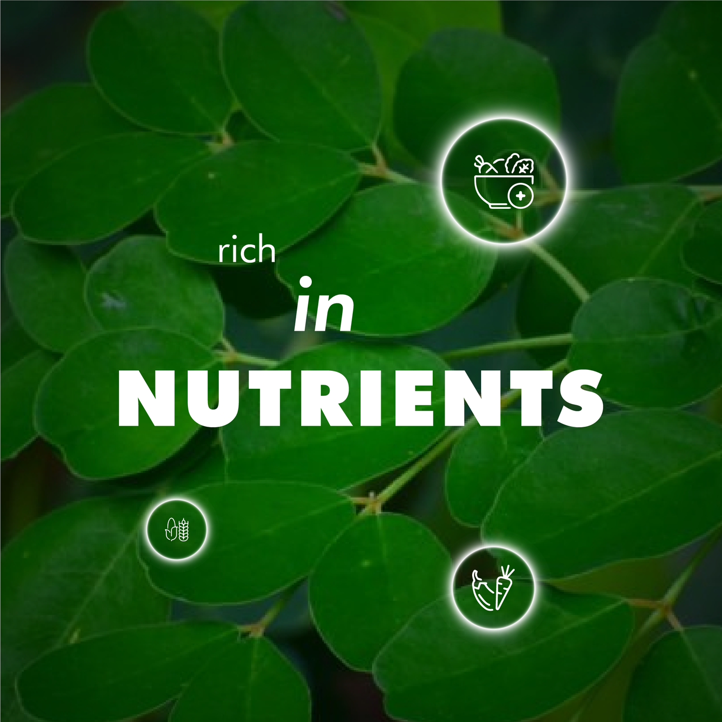 Moringa Capsules 60 Nos