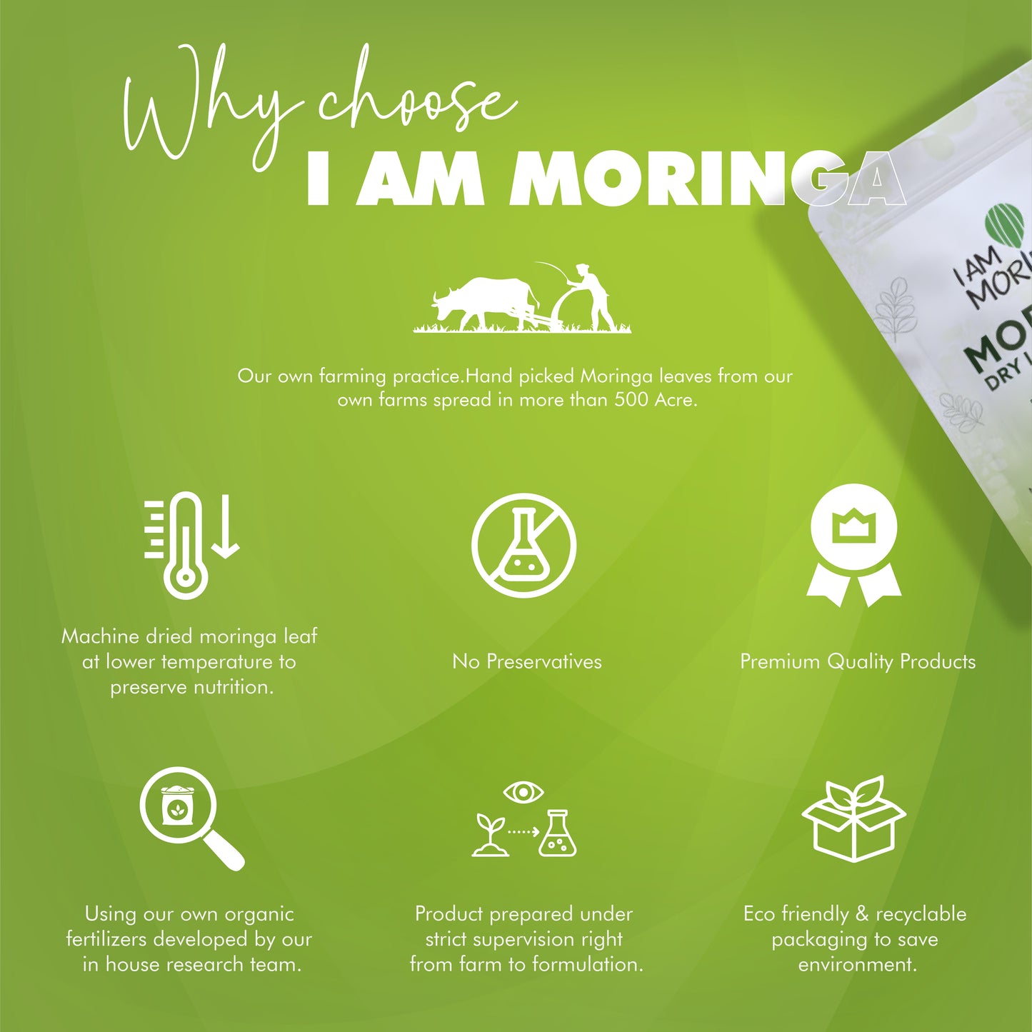 Moringa Leaf Powder 227 Gram + Moringa Effervescent Tablet  + Moringa Women Special 60 Tablet