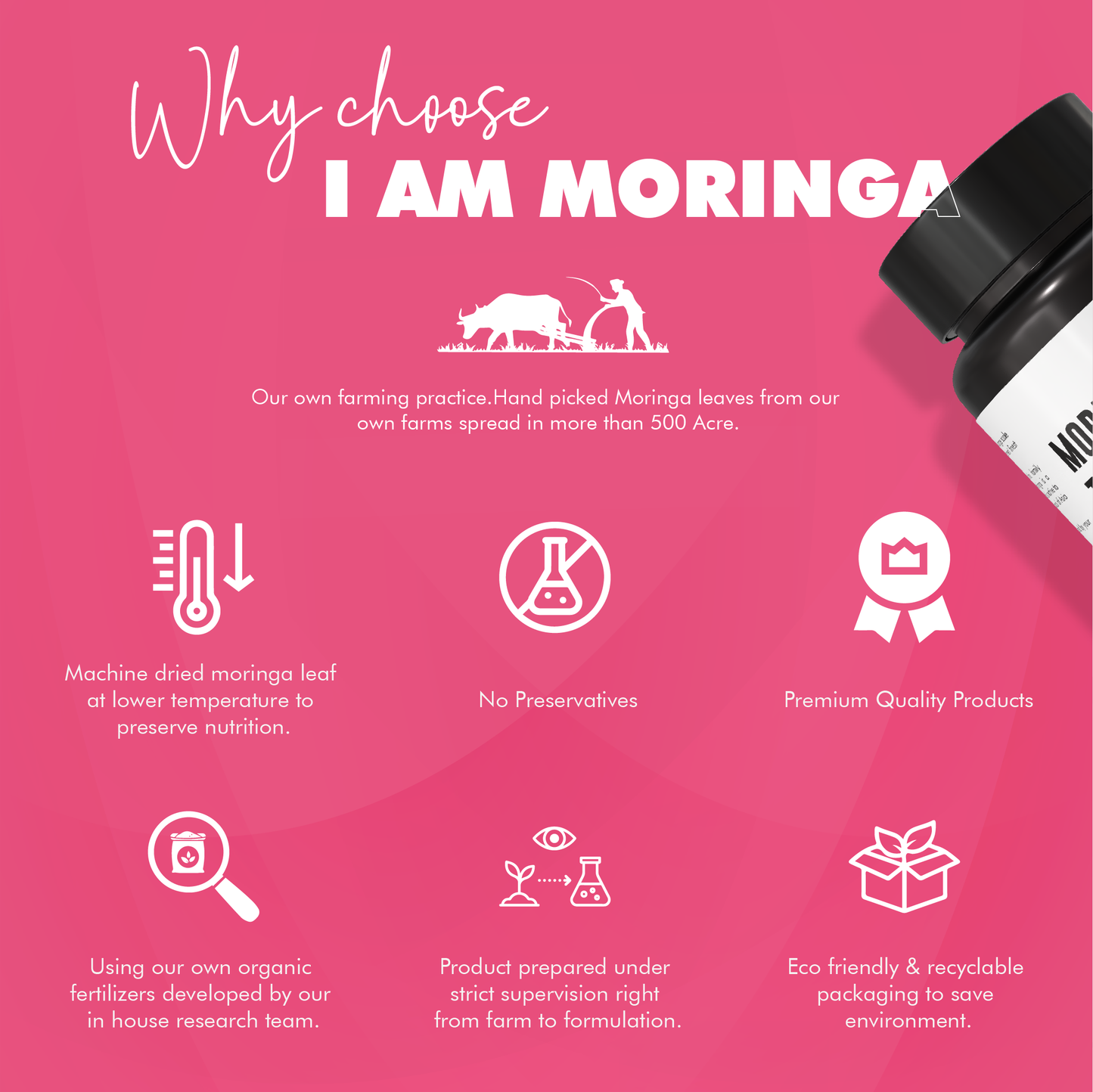 Moringa Women Special Tablet - 60